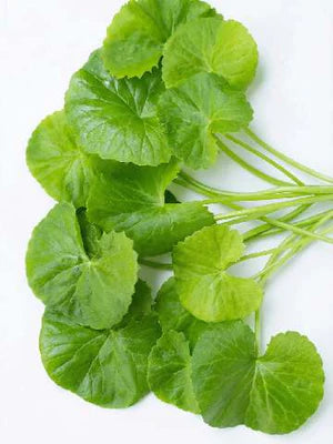 <p>7 Klinisch Onderbouwde Ingrediënten</p>